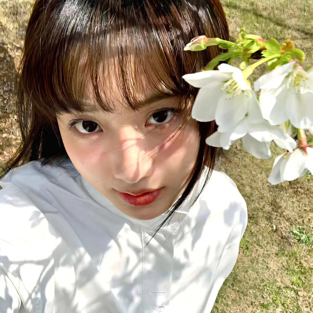 三看御妹刘金定