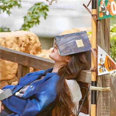 三只老虎